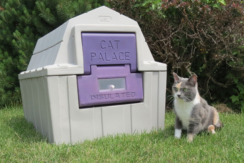Cat Palace Cat House